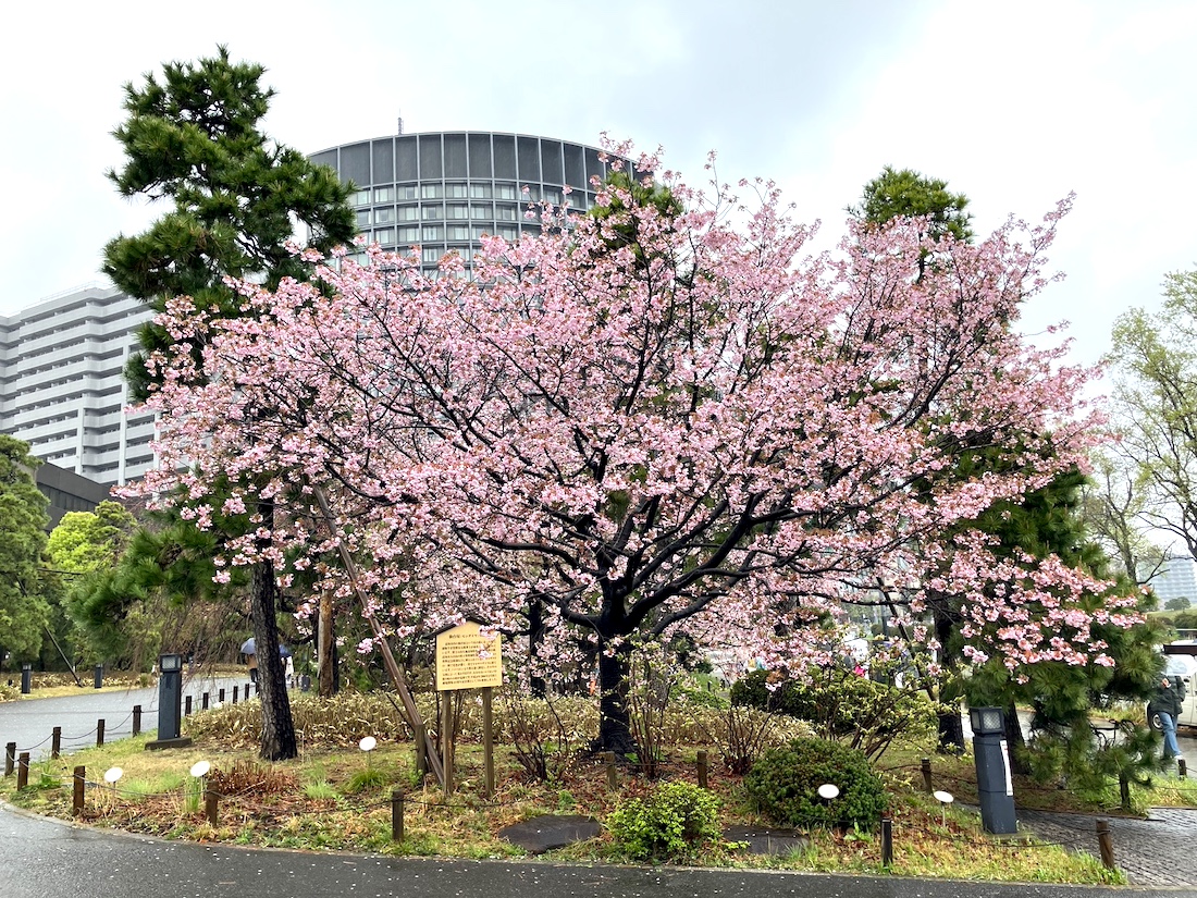国立劇場