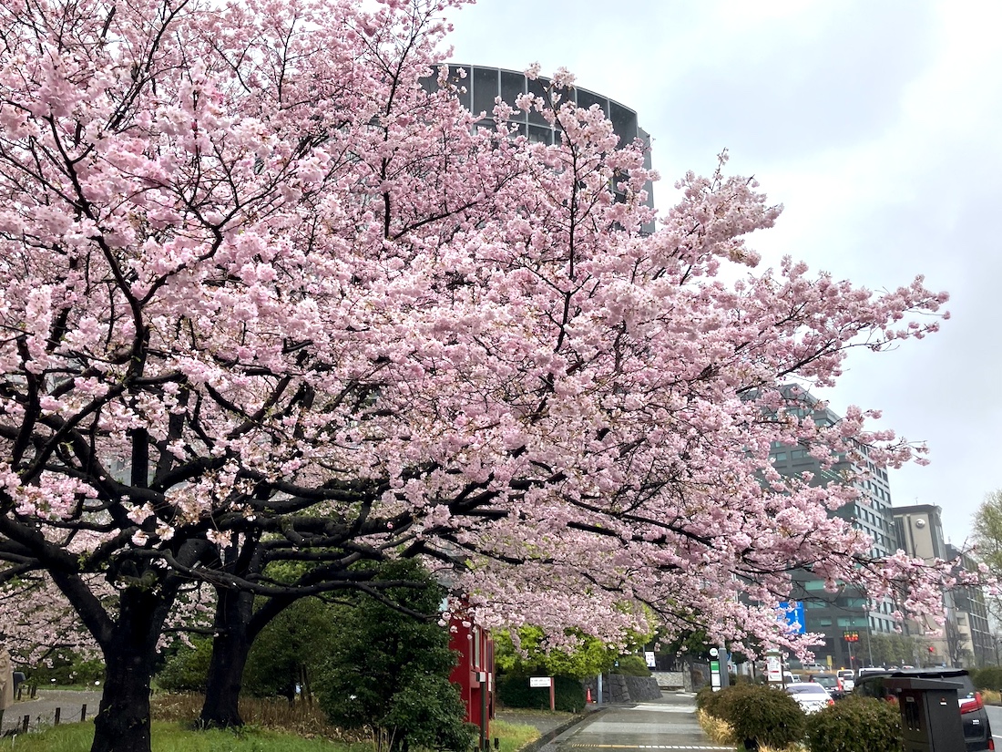 国立劇場