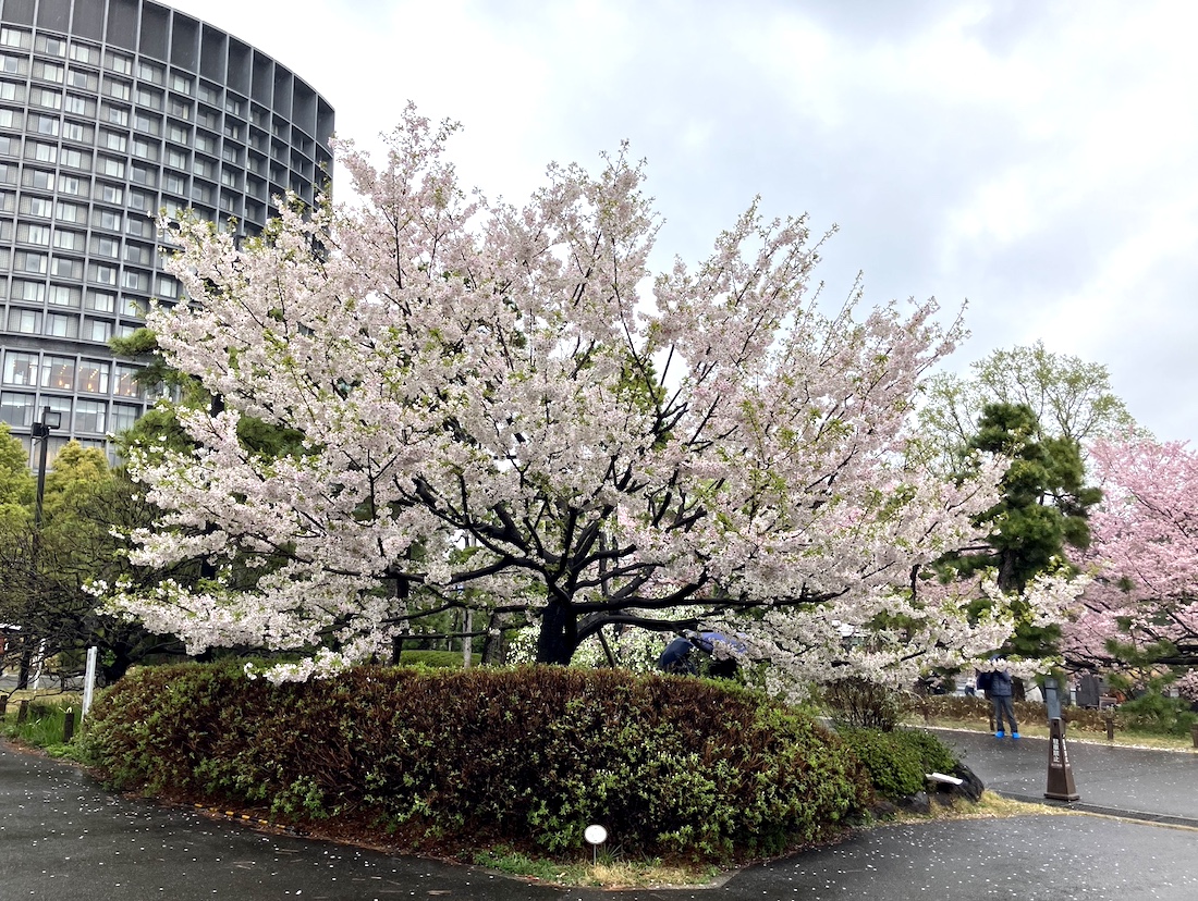 国立劇場